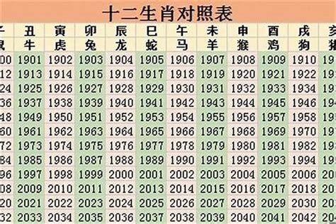 2011年是什么年